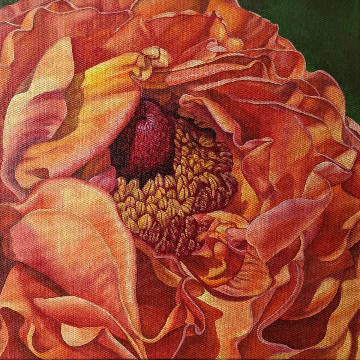 No. 43 Peony; Vulnerability by Renée Switkes 