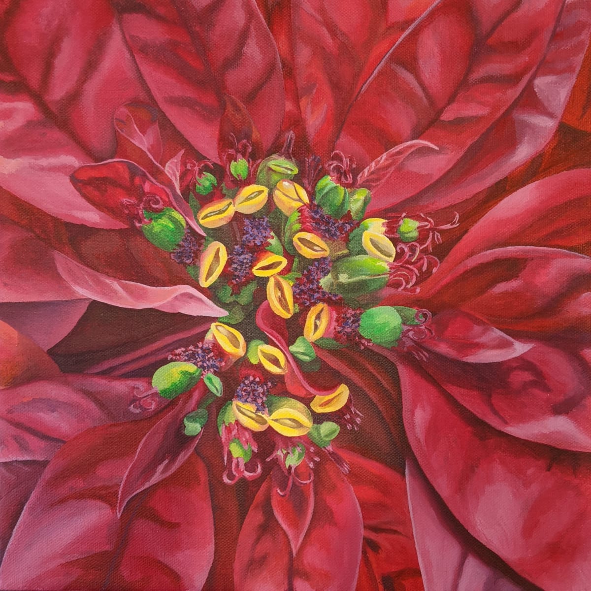 No. 45 Poinsettia - Unexpected Surprises by Renée Switkes 