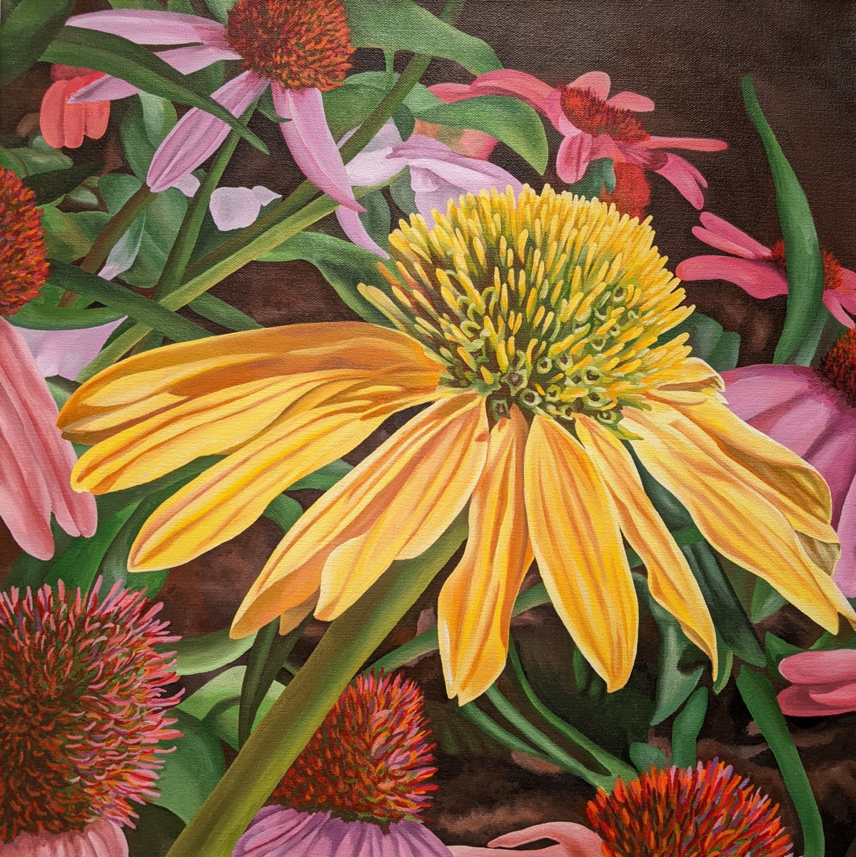 No. 46 Echinacea - Confidence In Being Different by Renée Switkes 
