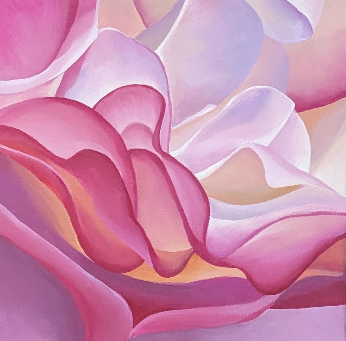 No. 86 Rose; Embracing Flow by Renée Switkes 