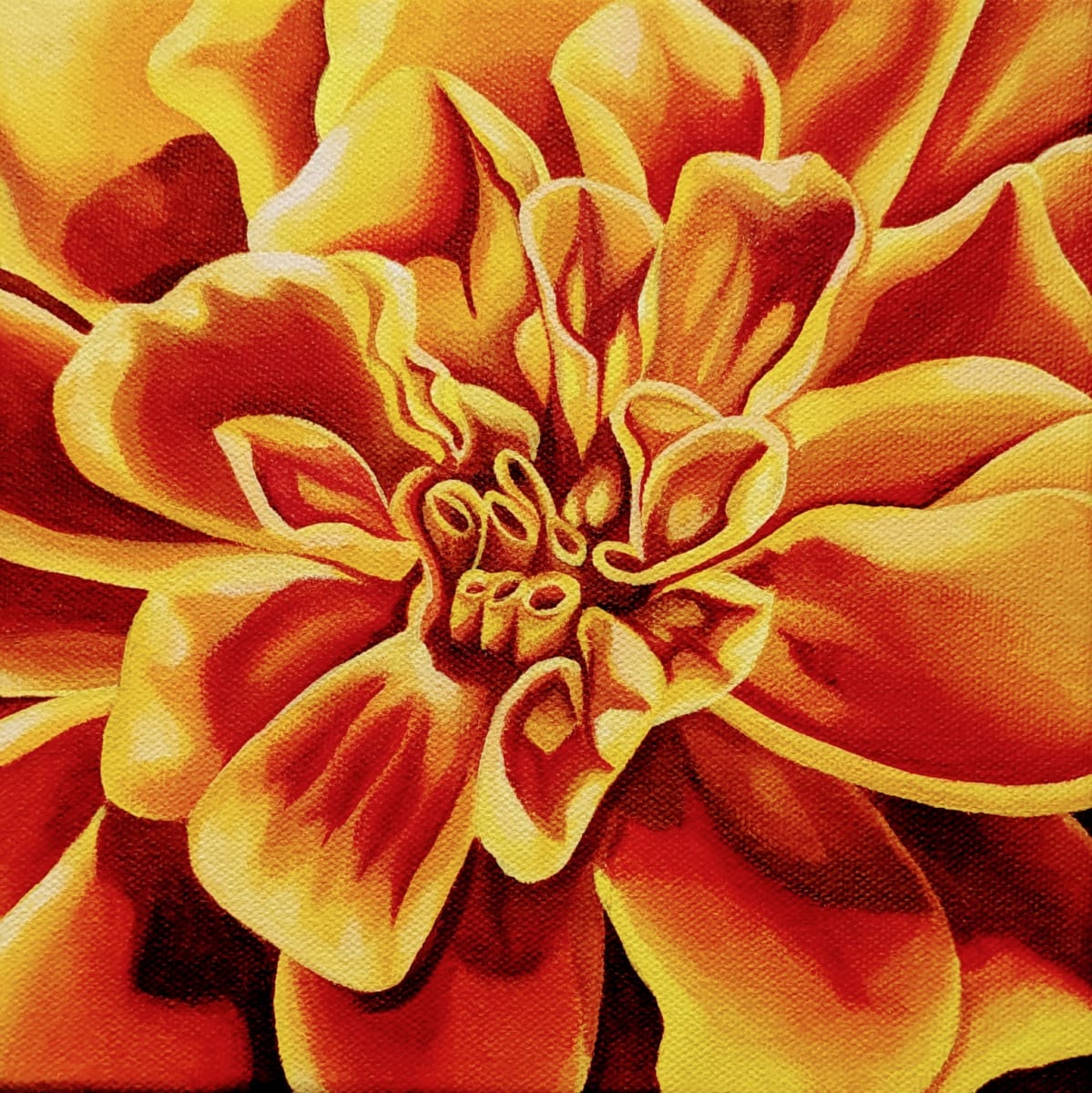 No. 94 Marigold - Radiant by Renée Switkes 