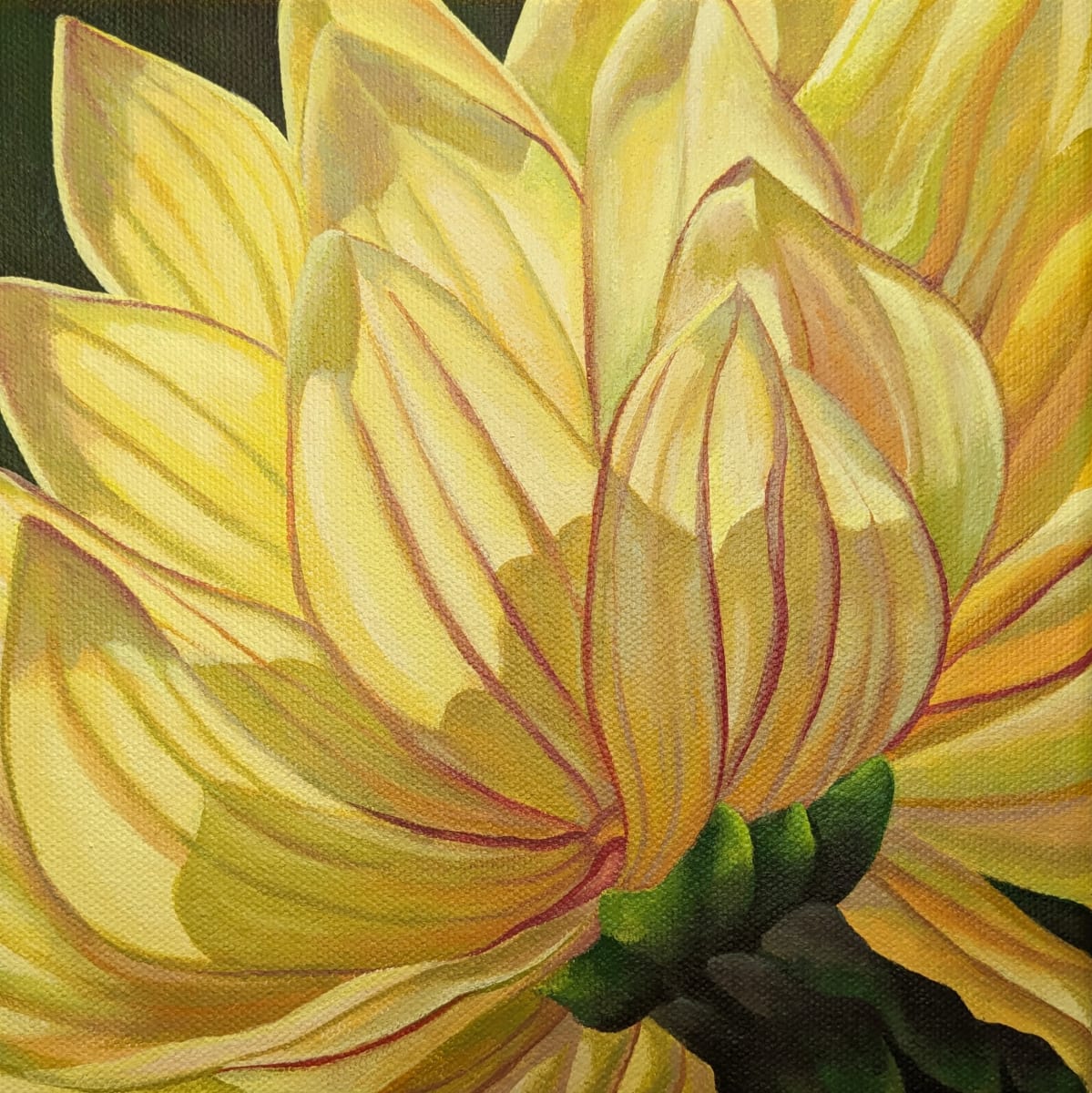 No. 100 Dahlia - Dignity by Renée Switkes 