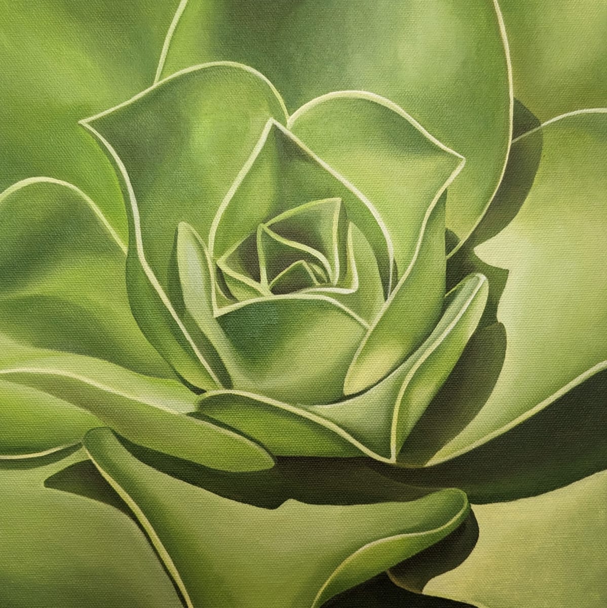 No. 108 Aeonium - Good Fortune by Renée Switkes 