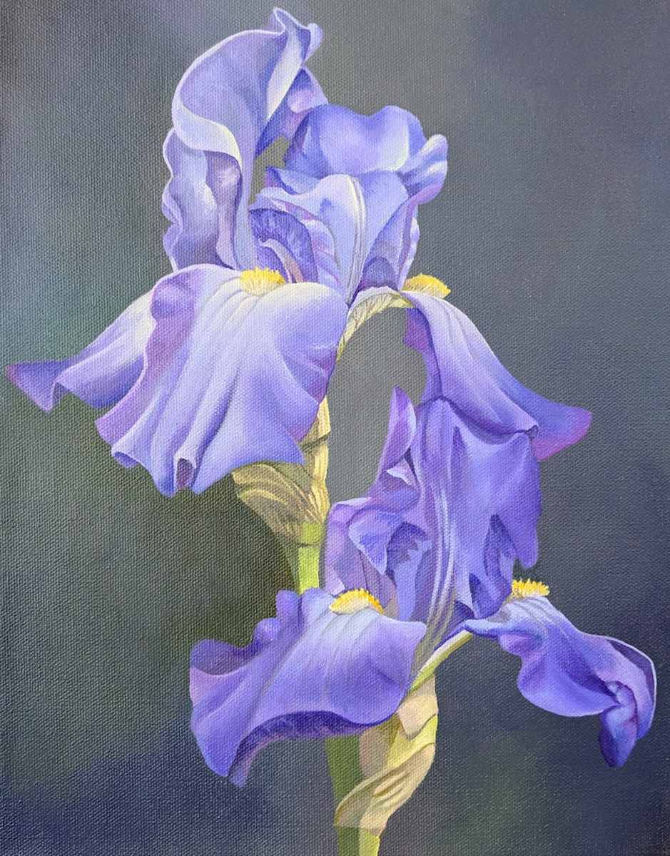 No. 156 Iris - Shared Strength by Renée Switkes, Image 1.