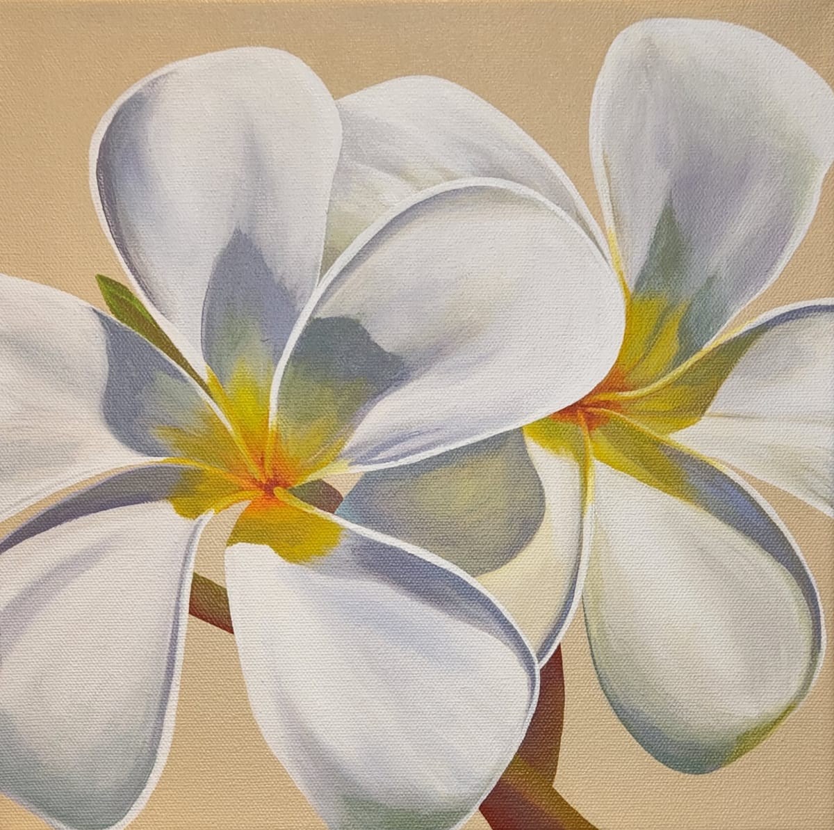 No. 71 Plumeria - Sisters by Renée Switkes 