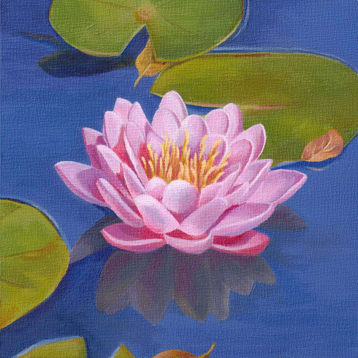 No. 146 ​​Lotus – Stillness by Renée Switkes 