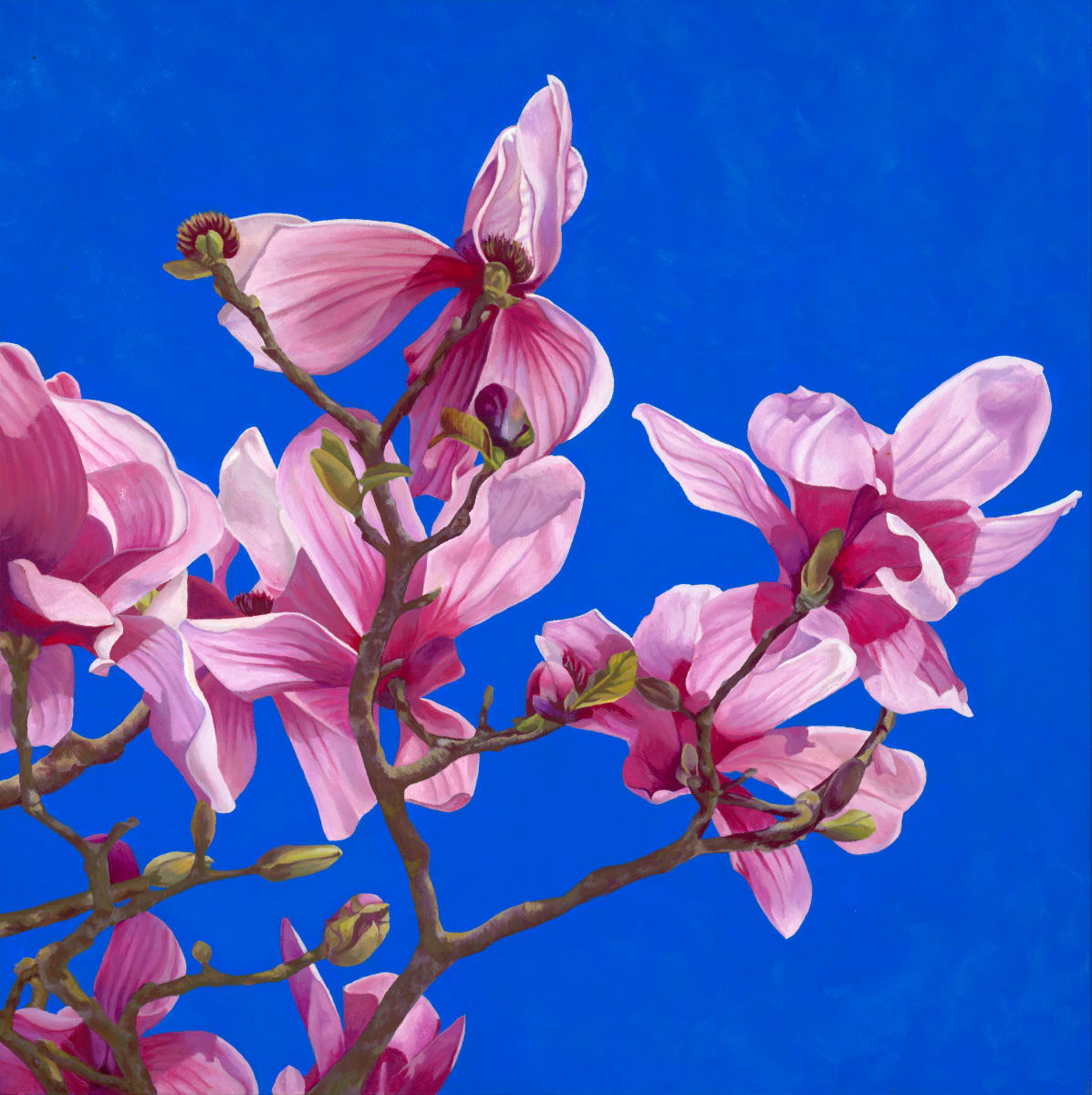 No. 49 Magnolia - Endurance by Renée Switkes 