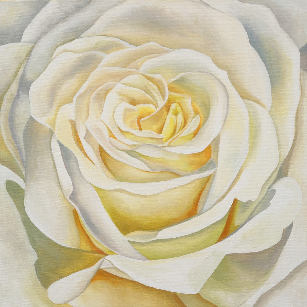 No. 72 Rose - Chosen by Renée Switkes 