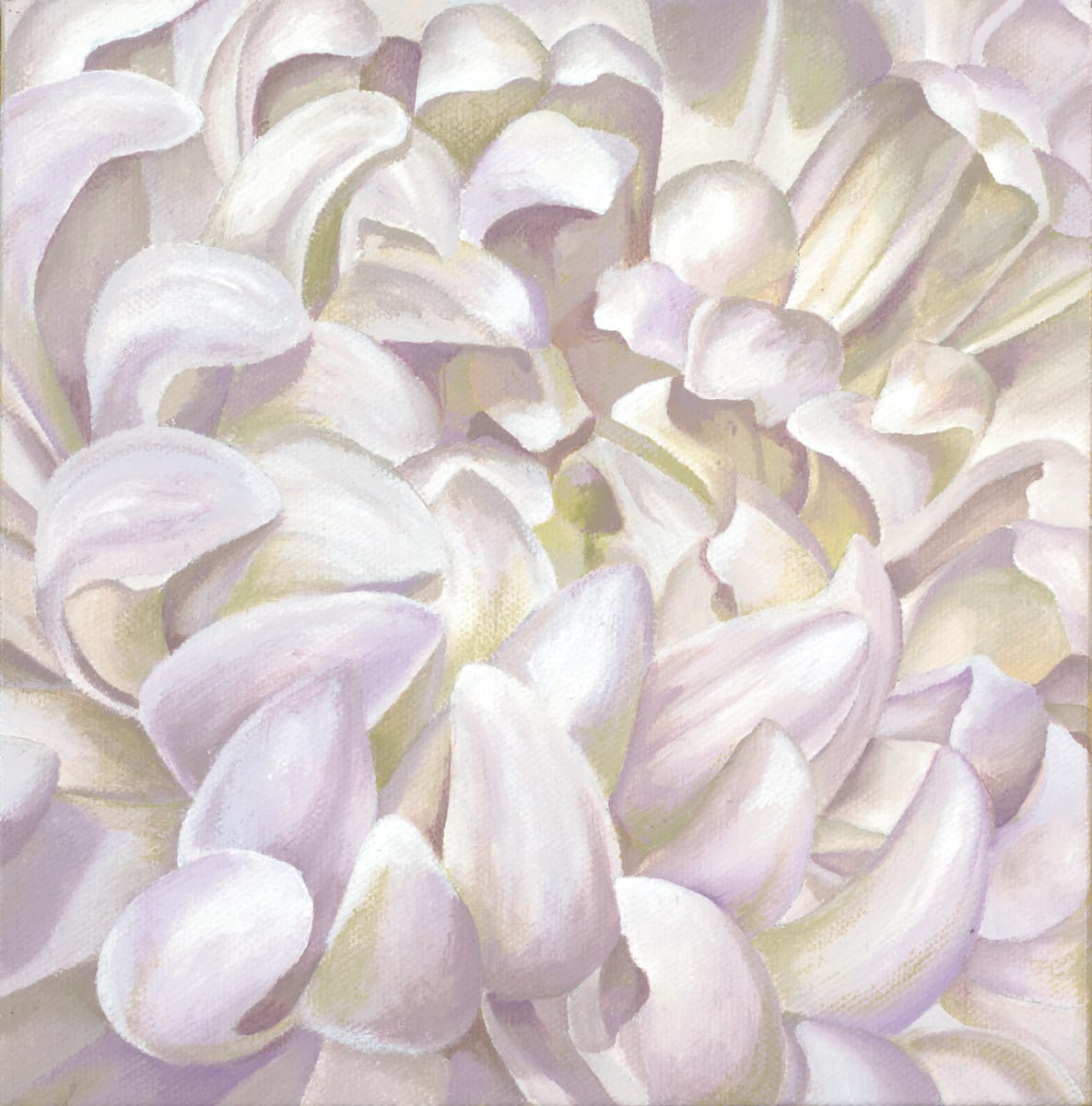 No. 96 Chrysanthemum - Remembrance by Renée Switkes 