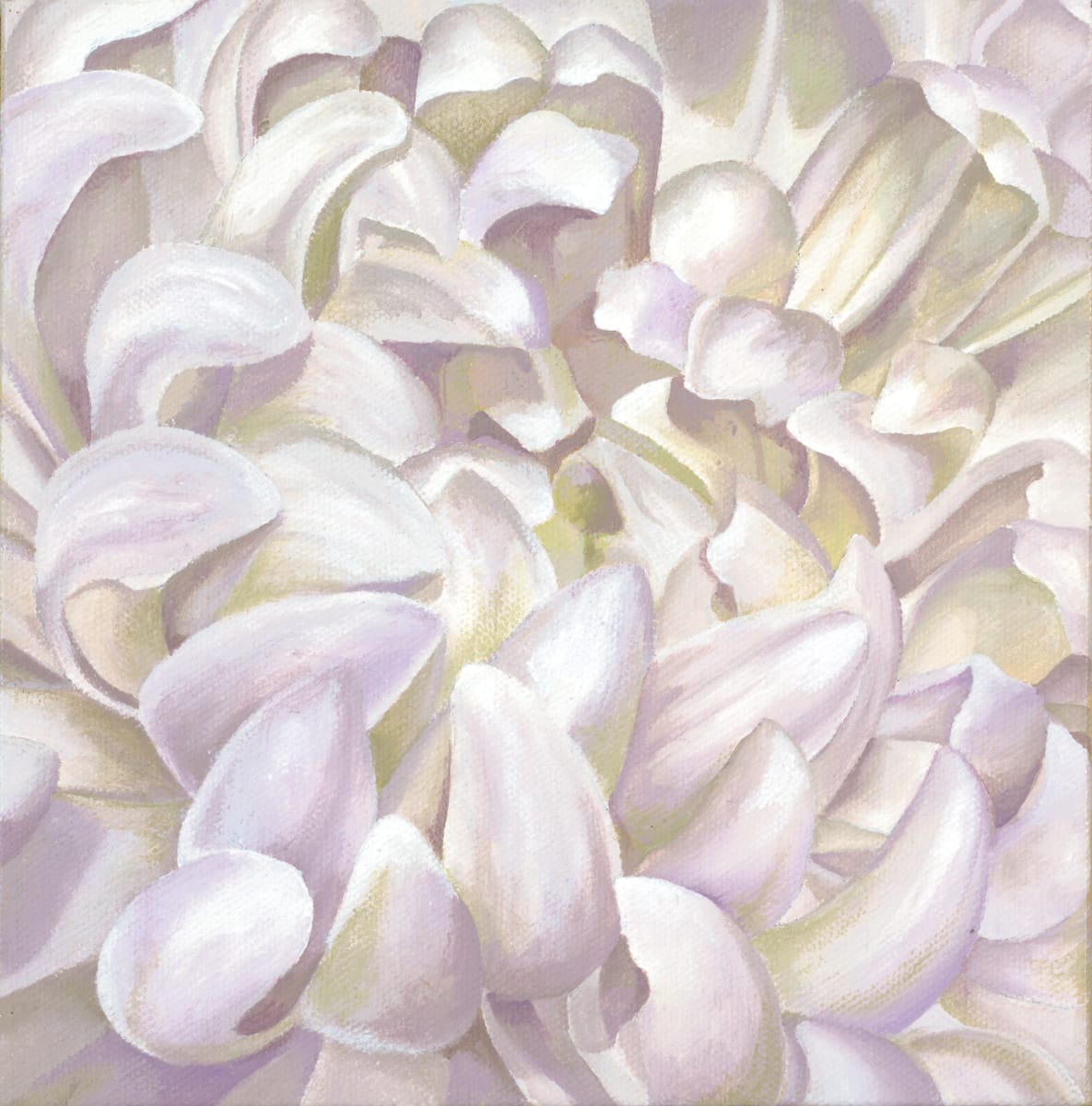 No. 96 Chrysanthemum; Remembrance by Renée Switkes 