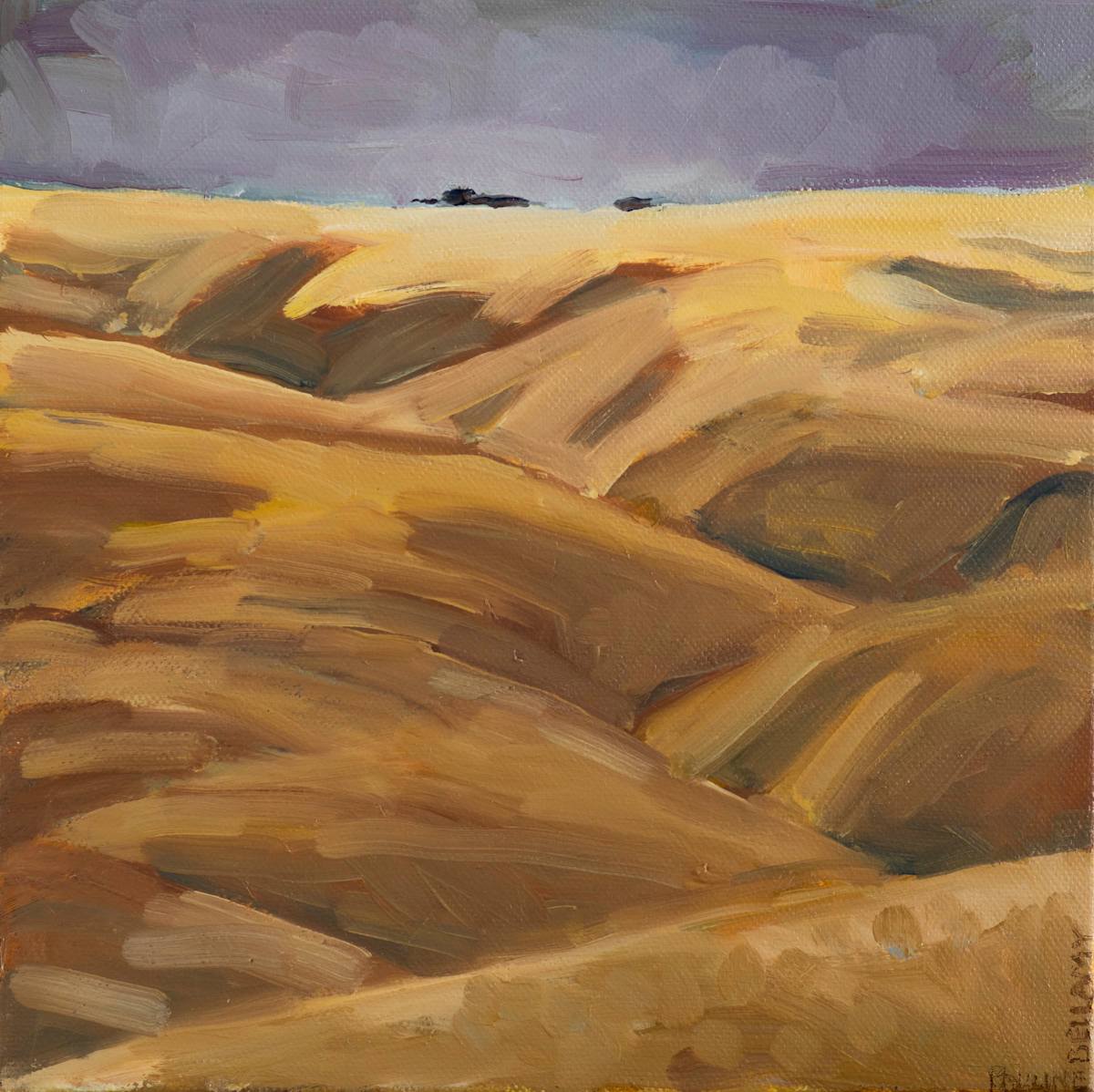 Tussock Land by Pauline Bellamy 