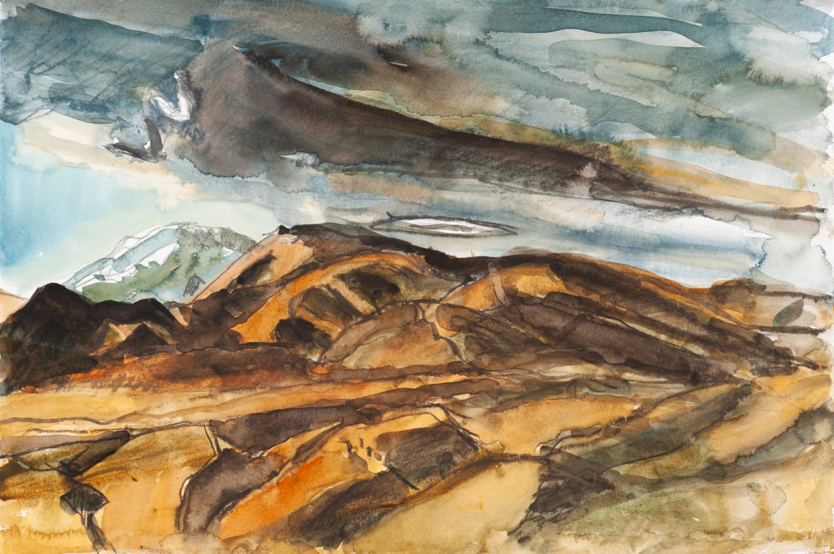 Central Otago I by Pauline Bellamy 