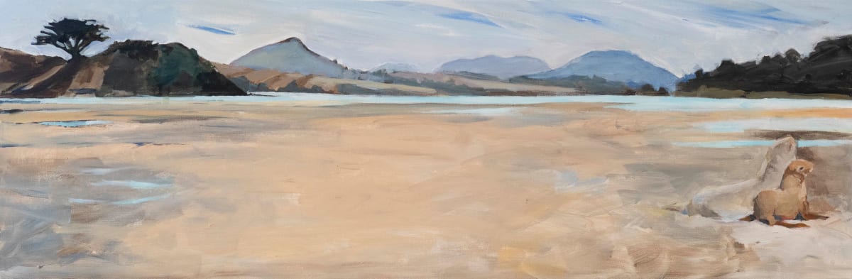 Sea Lions-Allans Beach by Pauline Bellamy 