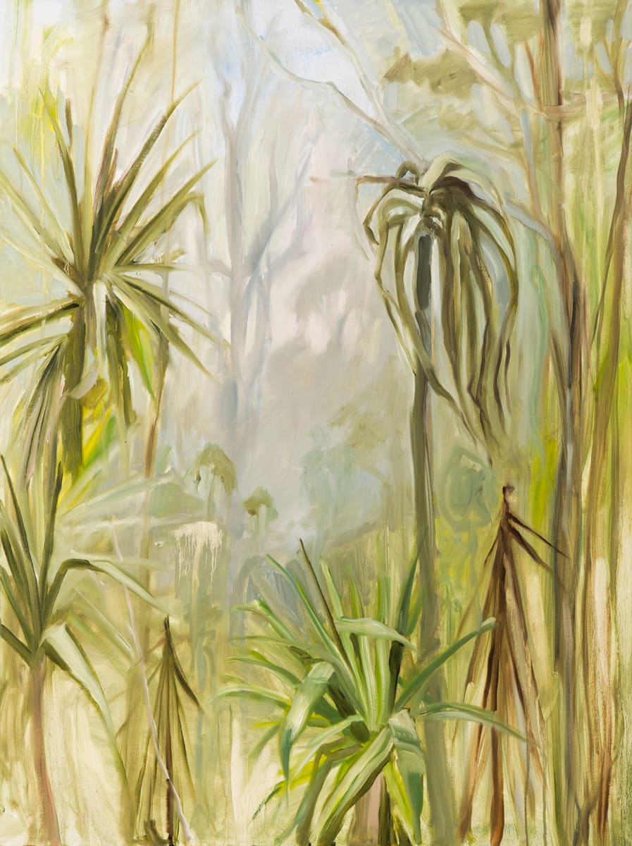 Mountain Cabbage Trees in Mist 