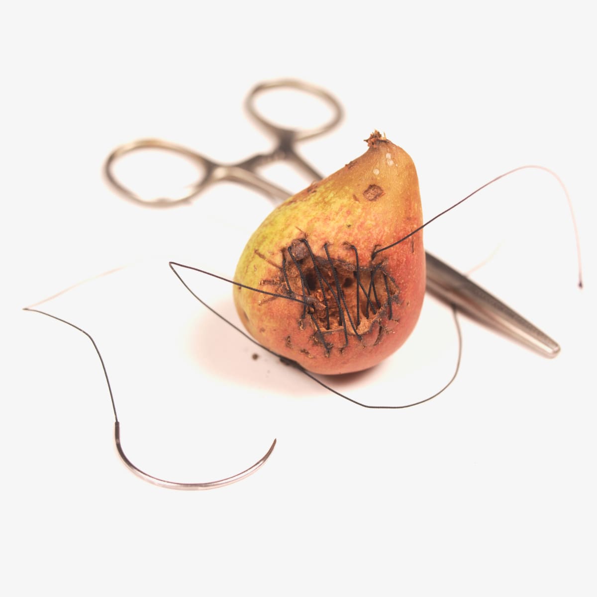 Repaired Pear  Image: Studio Photograph of Textile Original