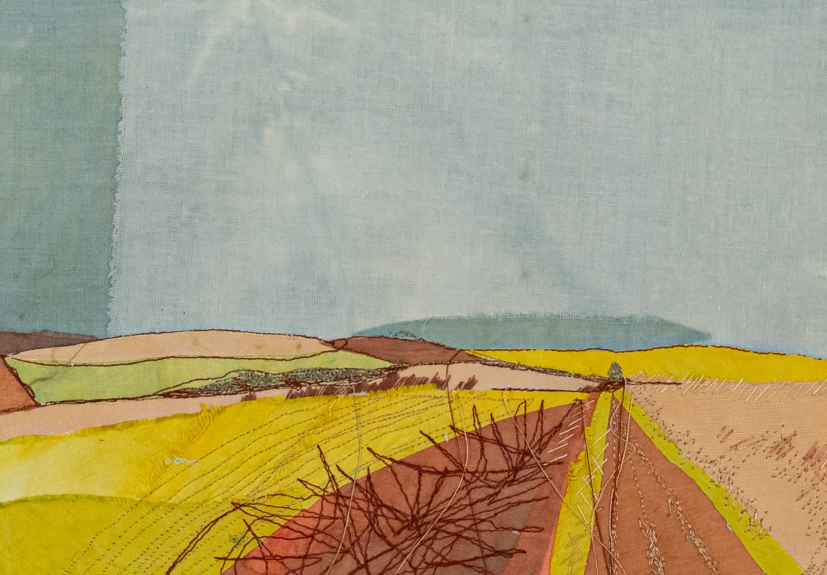 Pieced Fields by Susan D'souza  Image: Textile Original 