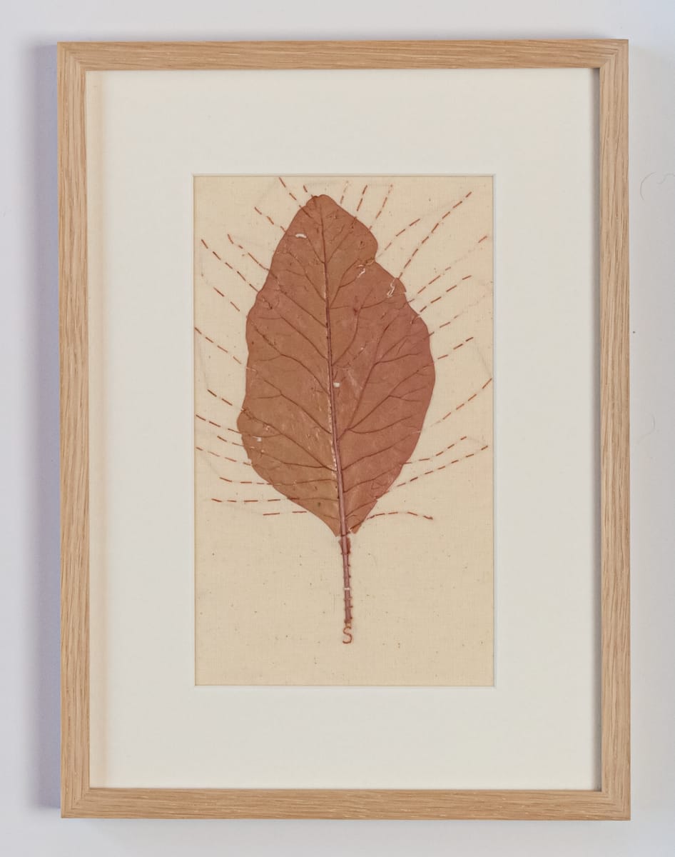 Leaf on Calico  Image: Textile Original