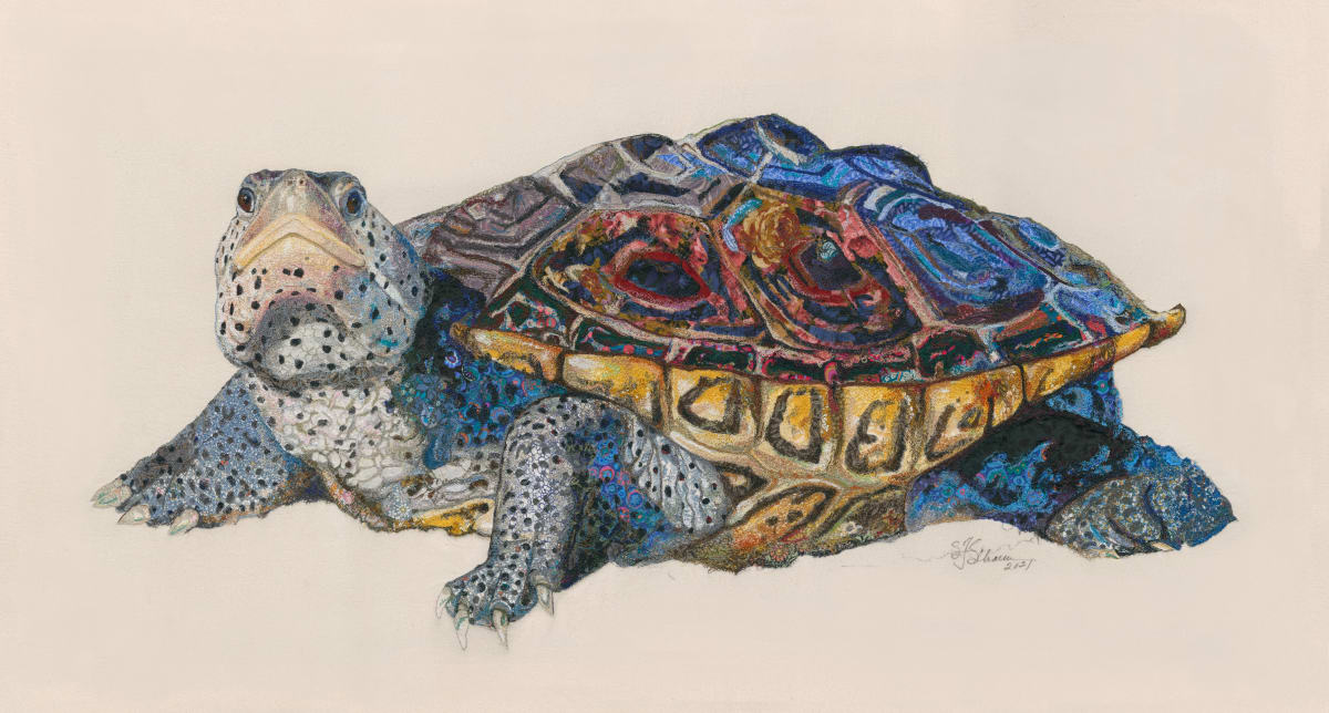 "Fear the Turtle"  Diamondback Terrapin (Malaclemys terrapin) by Susan Fay Schauer Fiber Artist 