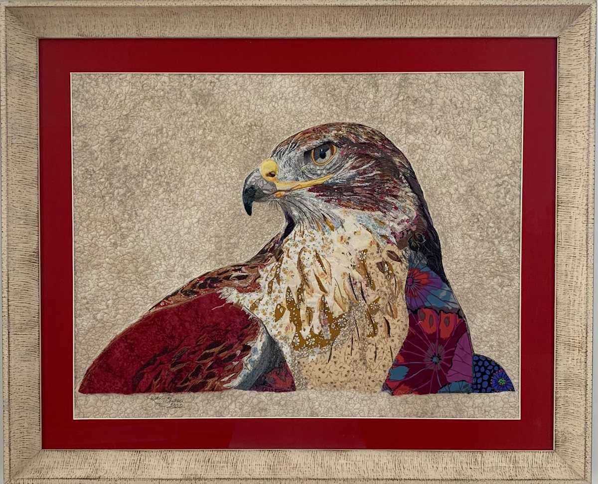 Hawkeye.  Ferruginous Hawk (Buteo regalis) by Susan Fay Schauer 