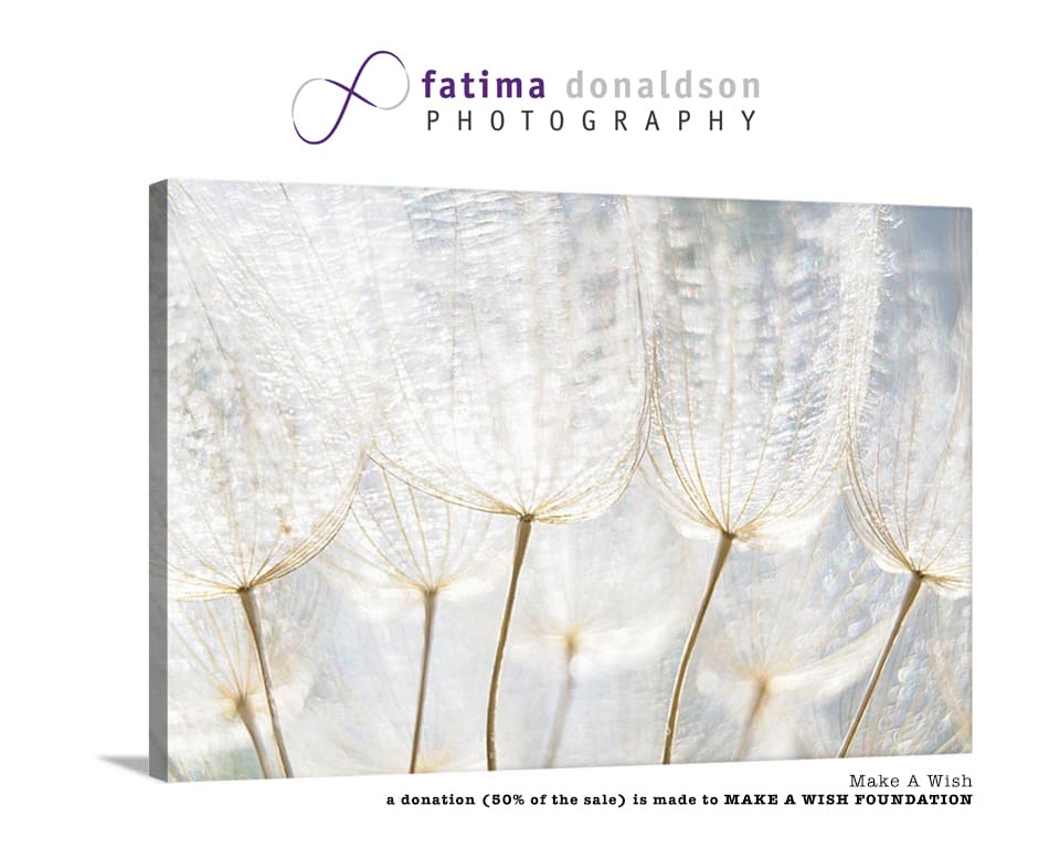Make A Wish by Fatima Donaldson, Image 10.