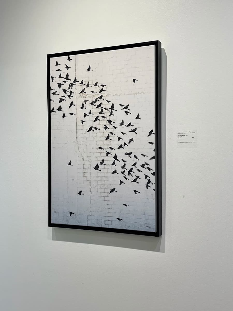 Away From The Flock by Fatima Donaldson, Image 1.