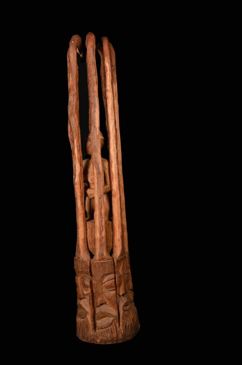 Protected by the Forces of Nature by Harold Murray 