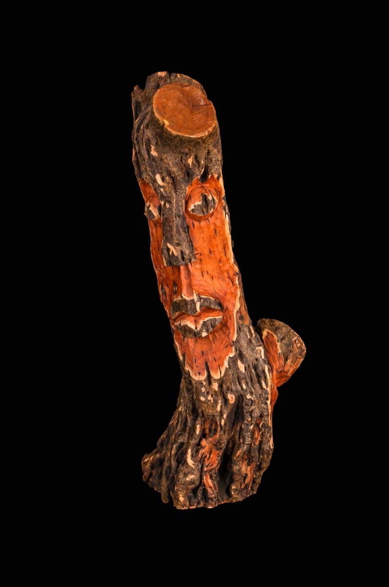 Everything comes in two's by Harold Murray 