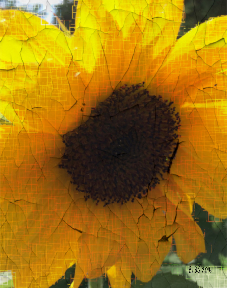 Antique Sunflower by Barbara Storey  Image: Sunflower - Japanese Woodcut Style