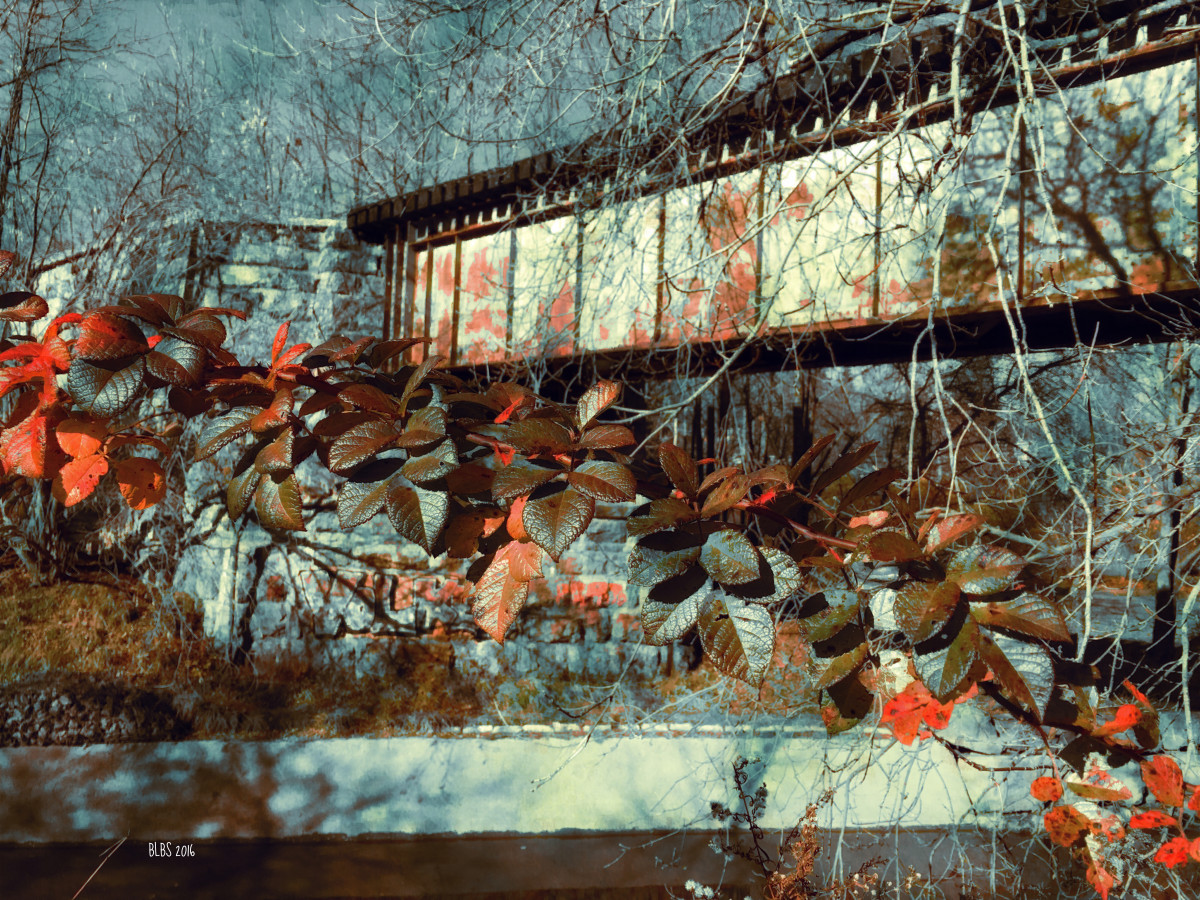 Autumn Leaves by Train Trestle by Barbara Storey 