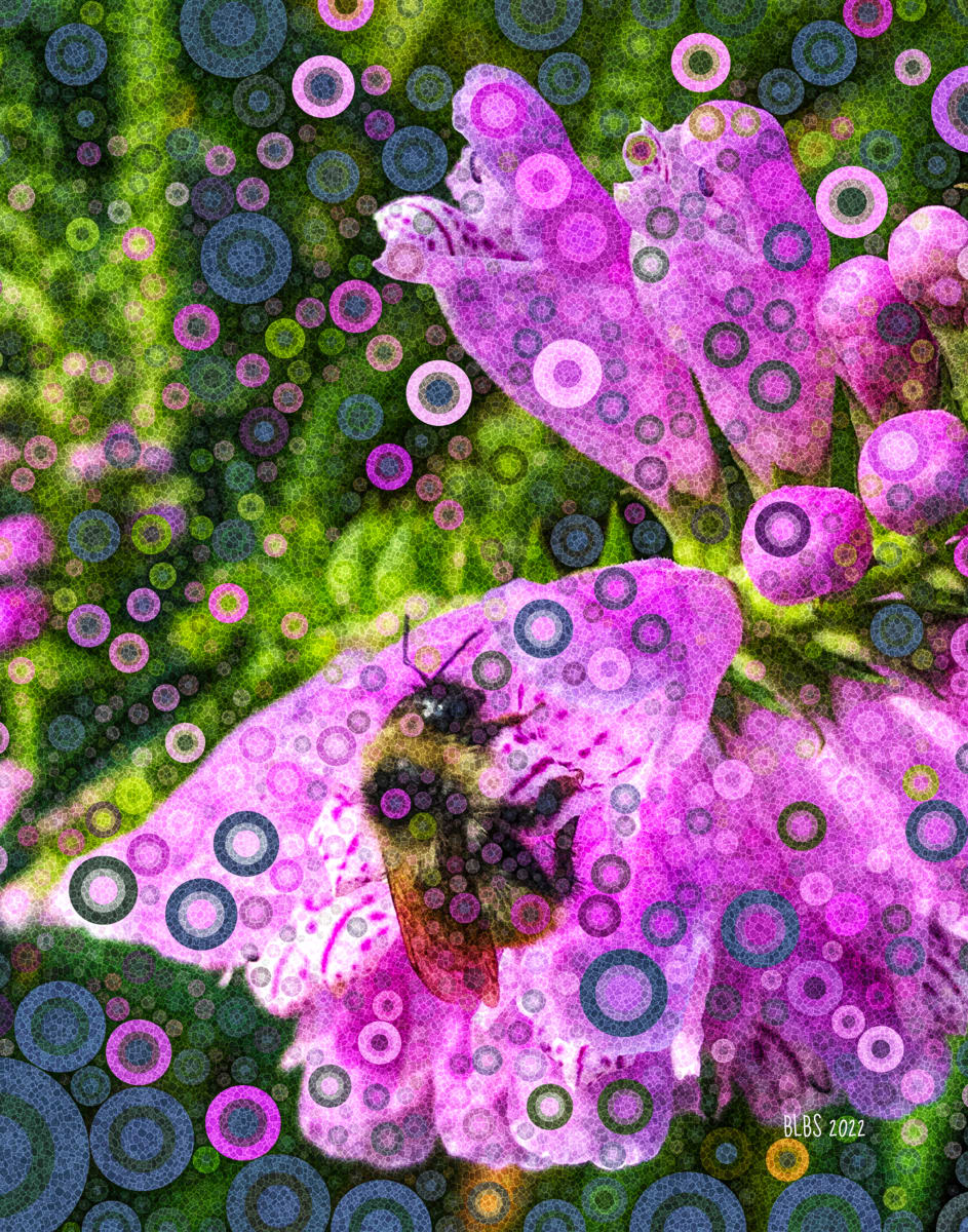 Bumbly Bee No. 6 by Barbara Storey  Image: Bumbly Bee No. 6
