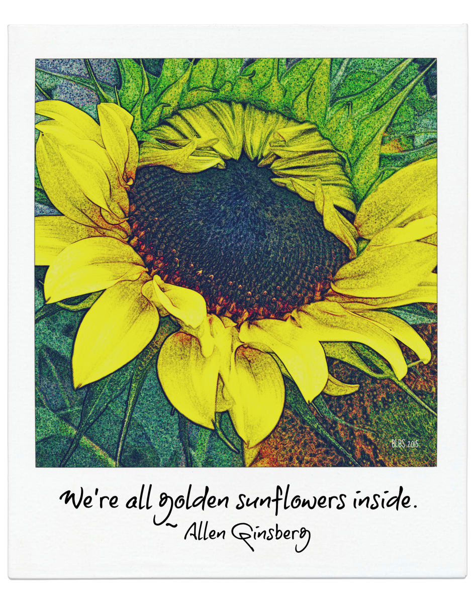 Golden Sunflowers by Barbara Storey  Image: Golden Sunflowers
