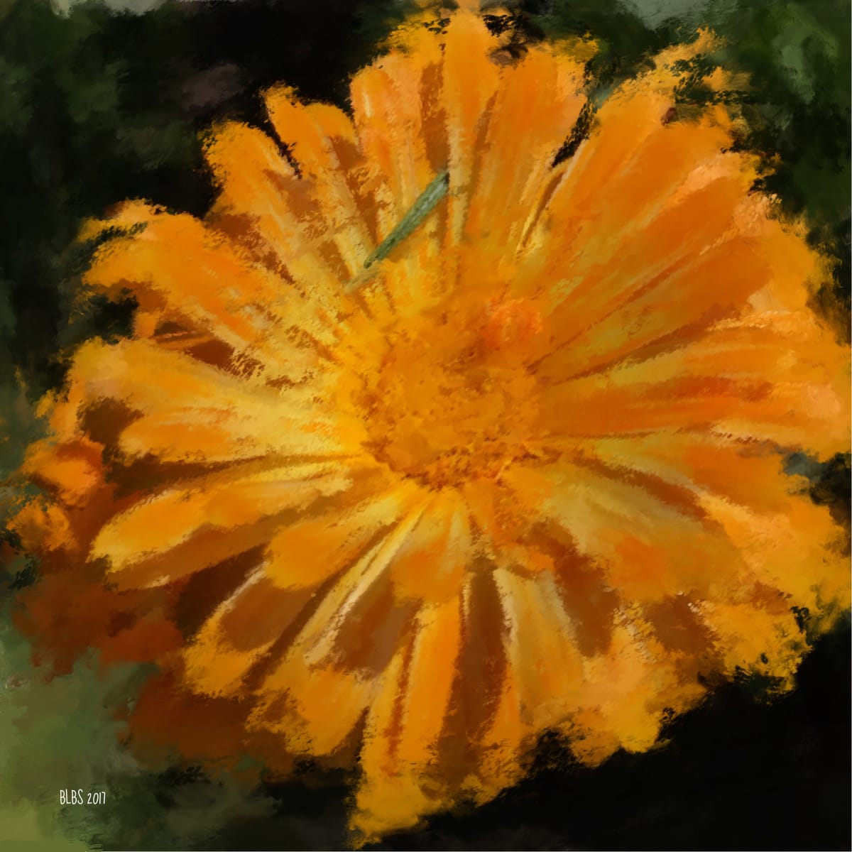 Orange Daisy 