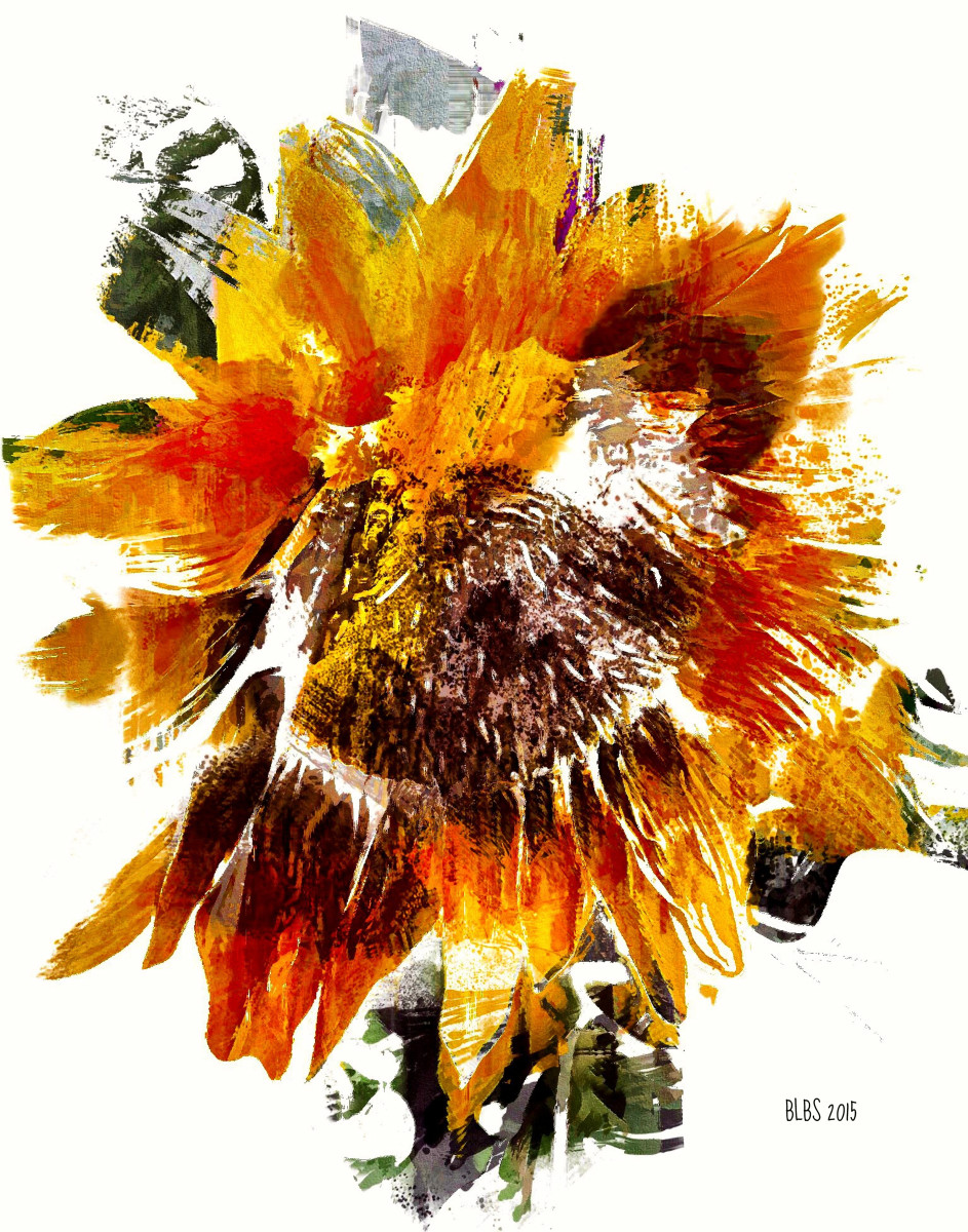 Painted Sunflower by Barbara Storey 