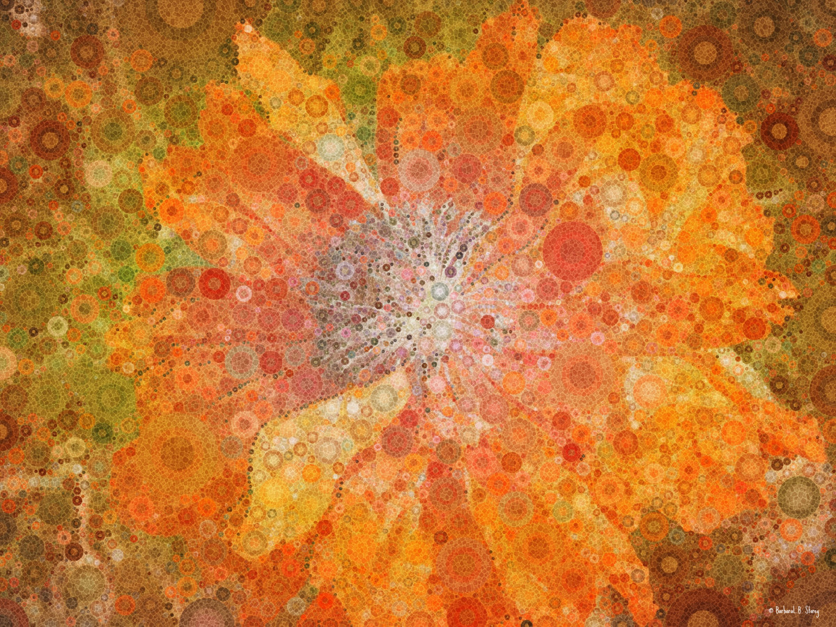Flame Poppy, Percolated by Barbara Storey 