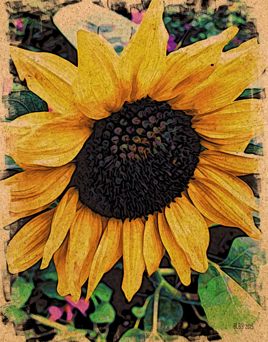 Sunflower, Japanese Woodcut Style by Barbara Storey 