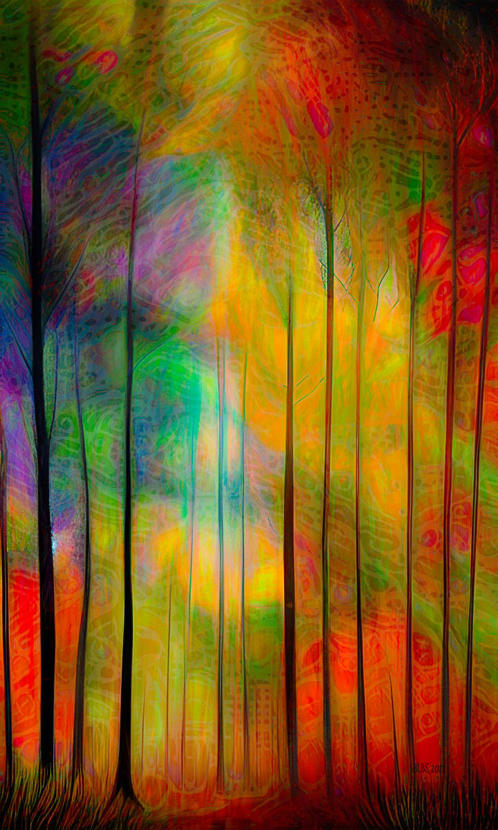 The Enchanted Trees by Barbara Storey  Image: The Enchanted Trees