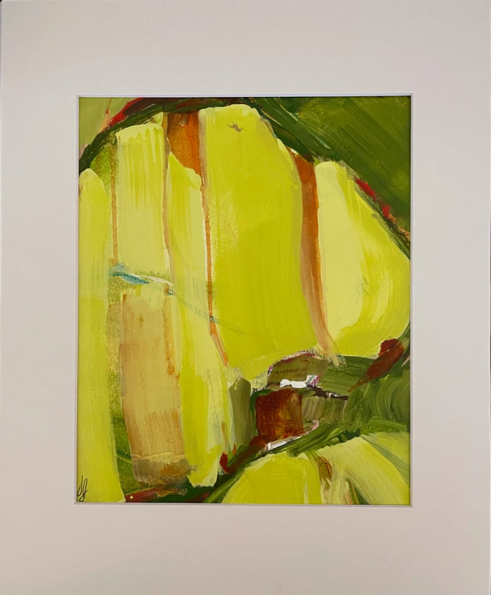 Touchable2 by Vicki Janssens  Image: Abstract closeup of Coltsfoot plant found in wetlands.