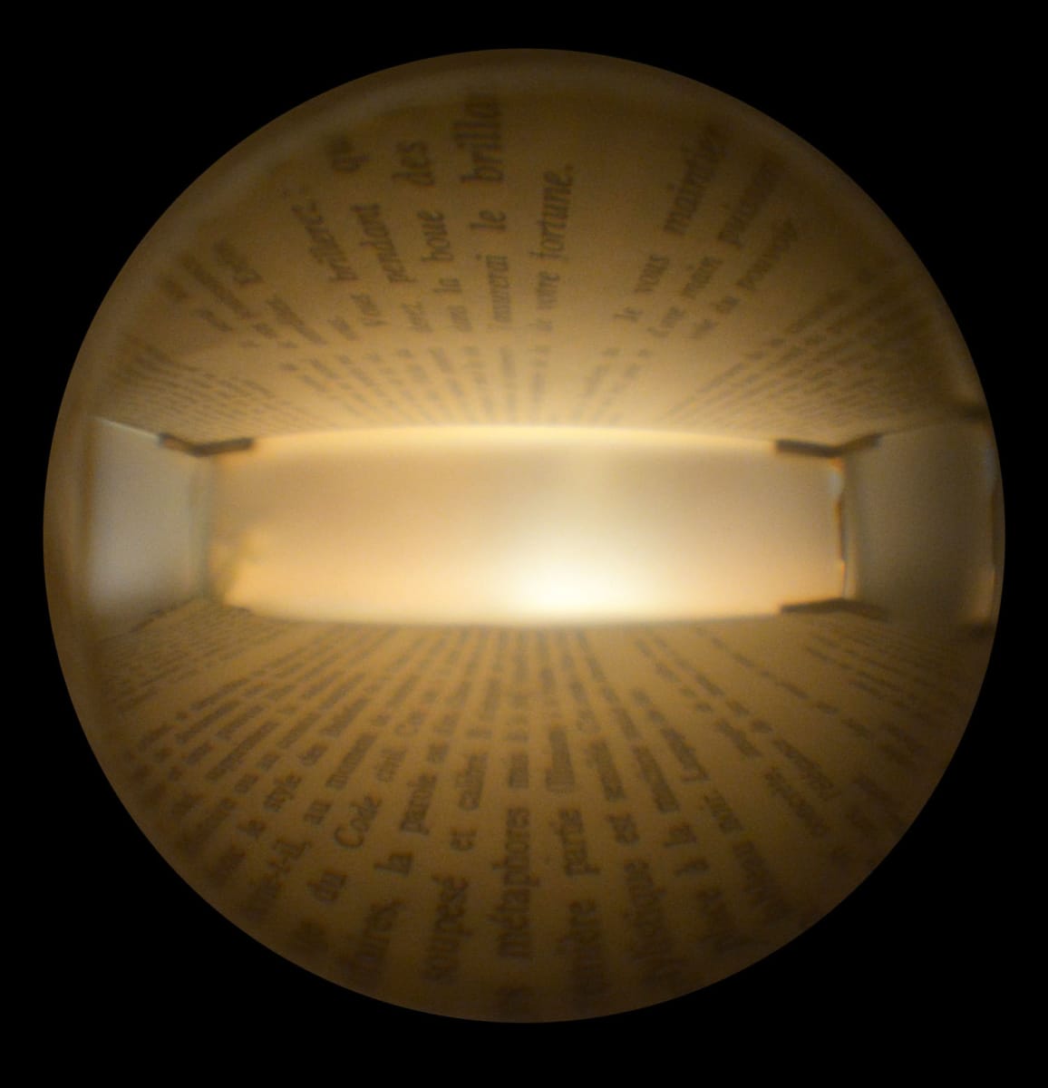 Les Illusions Perdus 