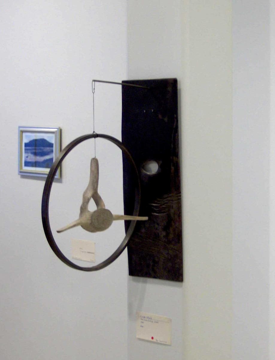 Circled Whale, Image 3.