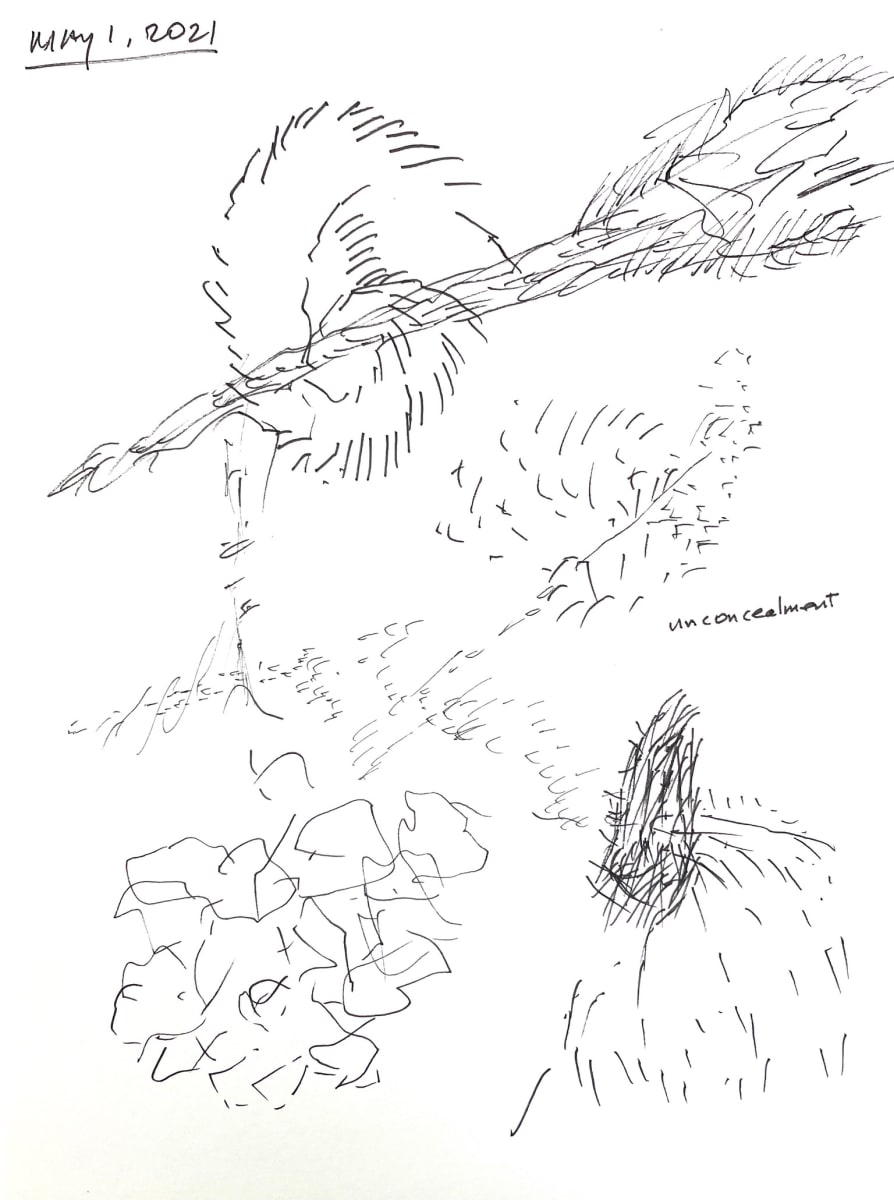 Untitled by Jack Saul, Image 1.