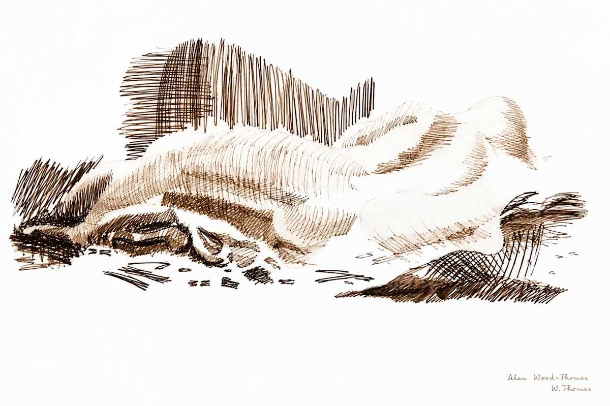 Drawing  80 by Alan Wood-Thomas, Image 1.