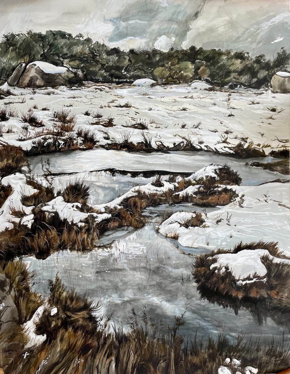 2015_veatk9_7 by Phillip Edwards 