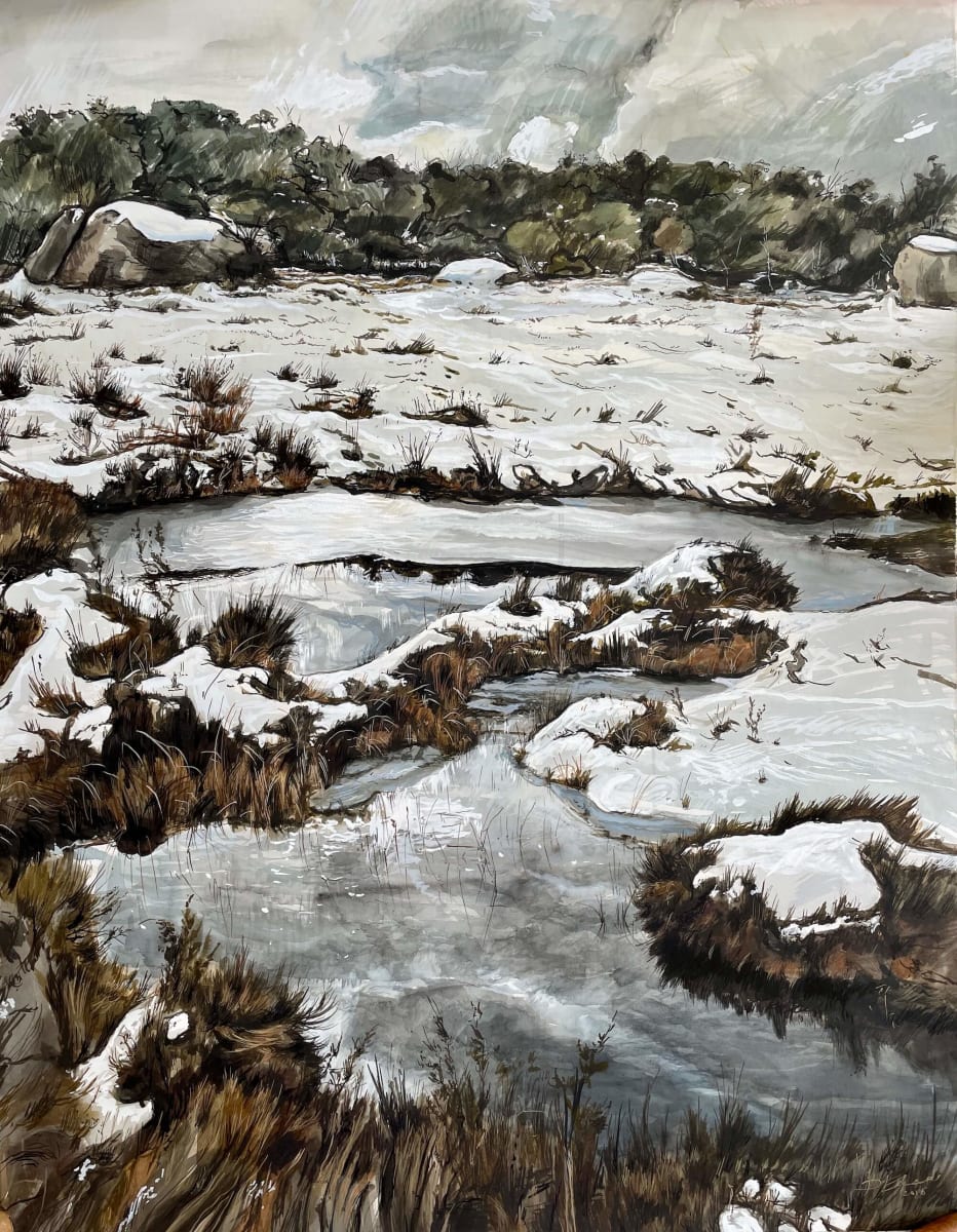 Buffalo Ramble by Phillip Edwards 