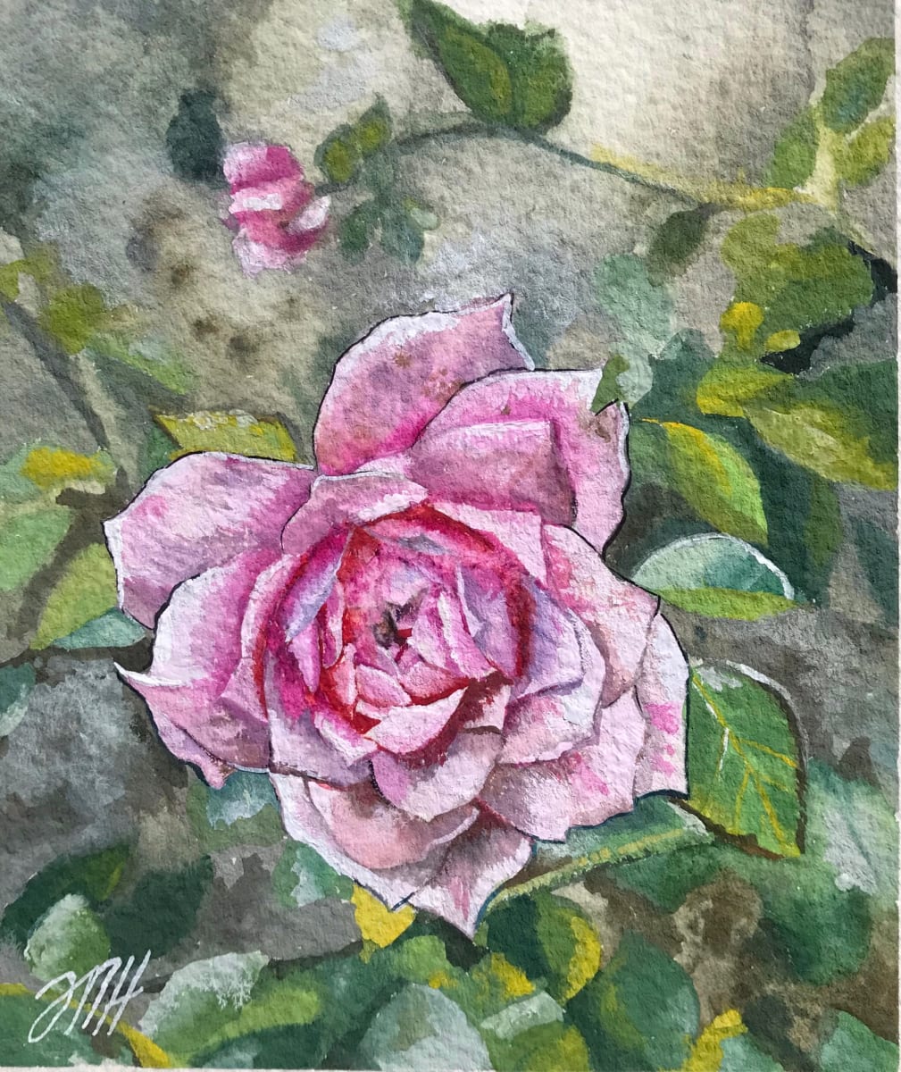 Garden Rose by Melissa Hartley 