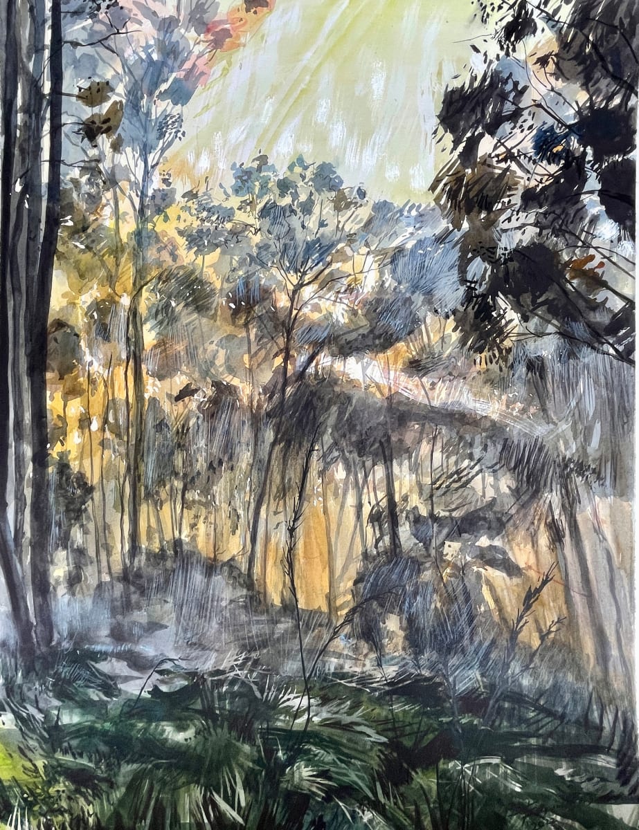 Golden Morning by Phillip Edwards 