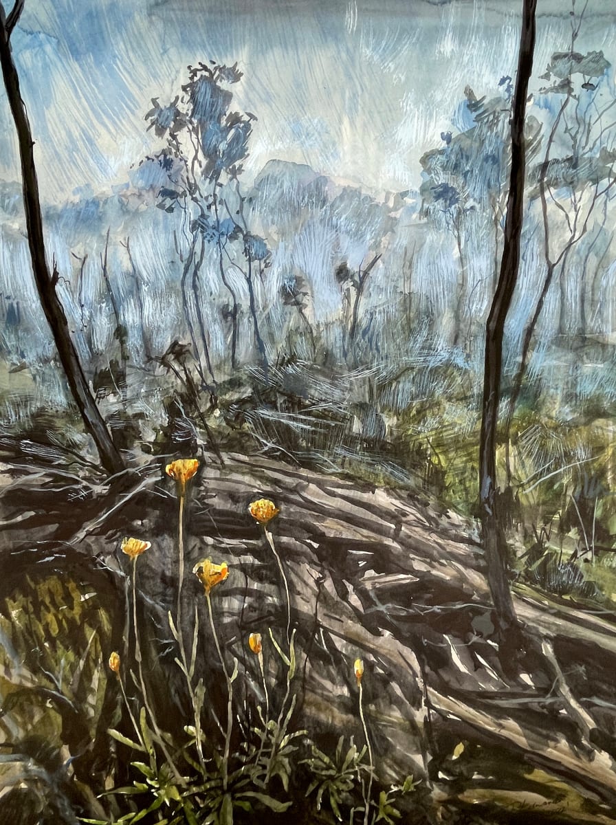 Limmal hang by Phillip Edwards 