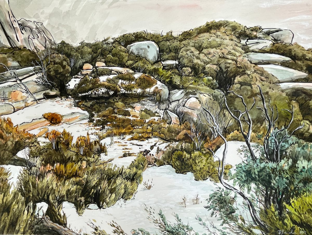 Mount Buffallo Rockwall by Phillip Edwards 