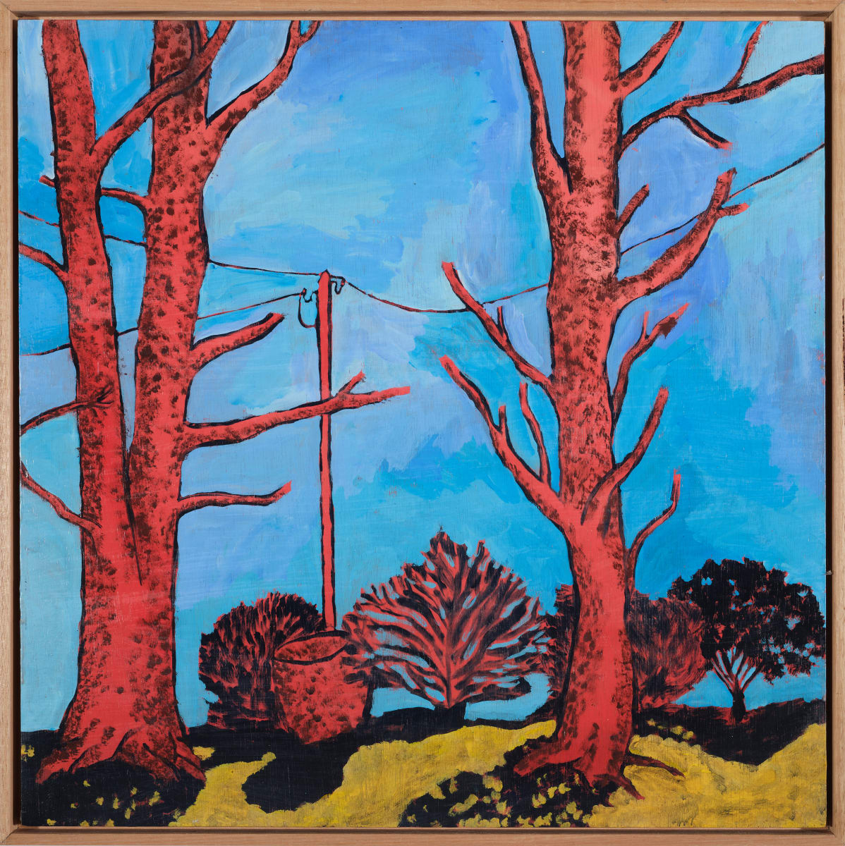 Trees kissing in winter by Neil Tomkins, Image 11.