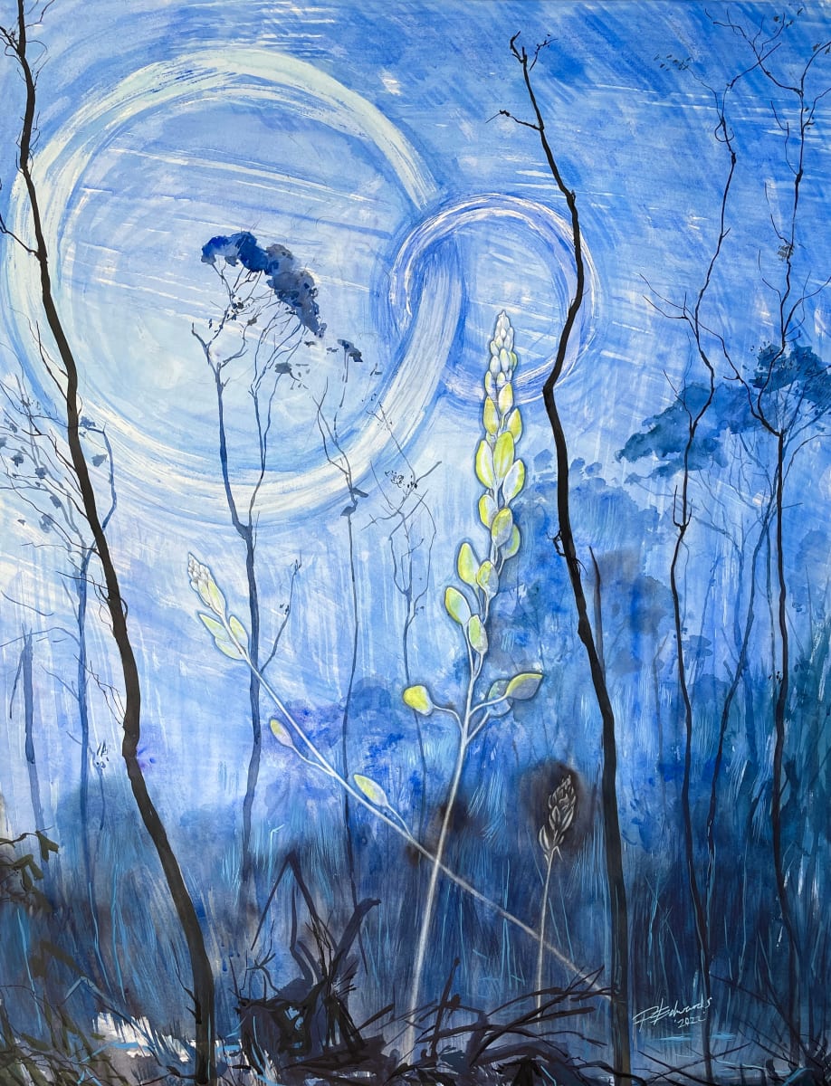 New moons - Bulbine Lily by Phillip Edwards, Image 4.