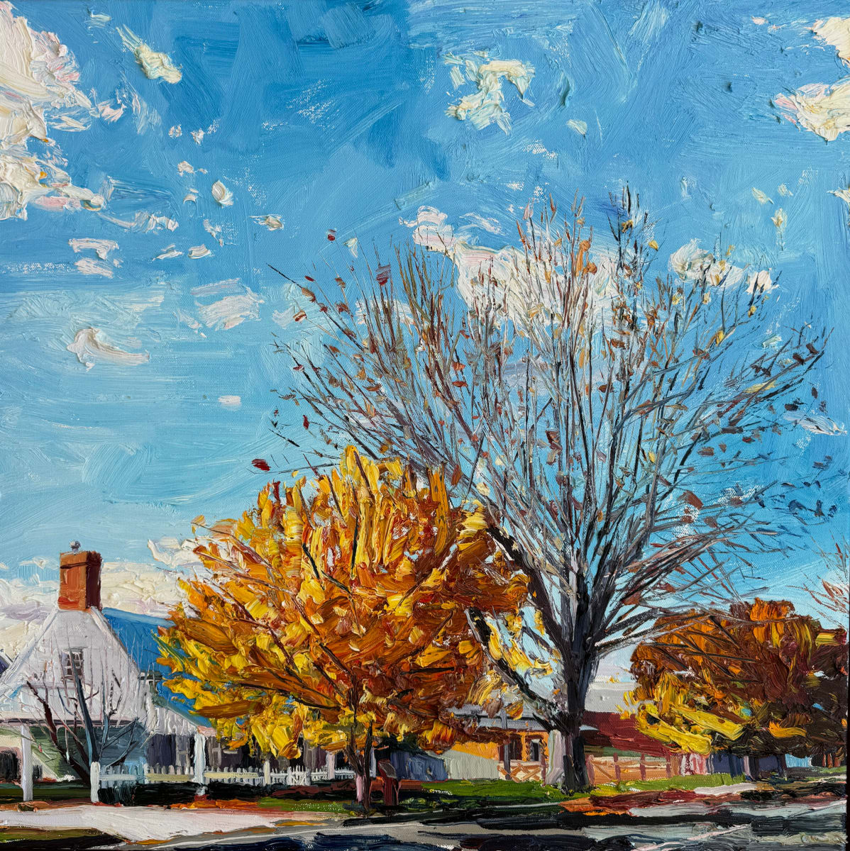 Morning Autumn Sun, The Tannery on Morrisset Stree, Bathurst by James Lyle, Image 10.